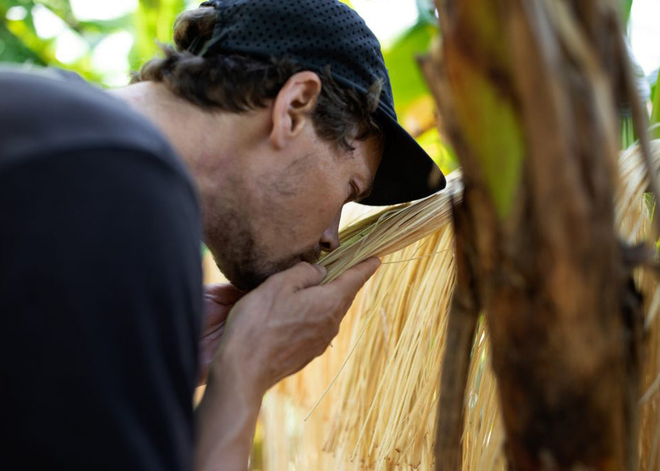 A MATERIAL (R)EVOLUTION: THE MAKING OF BANANATEX - QWSTION