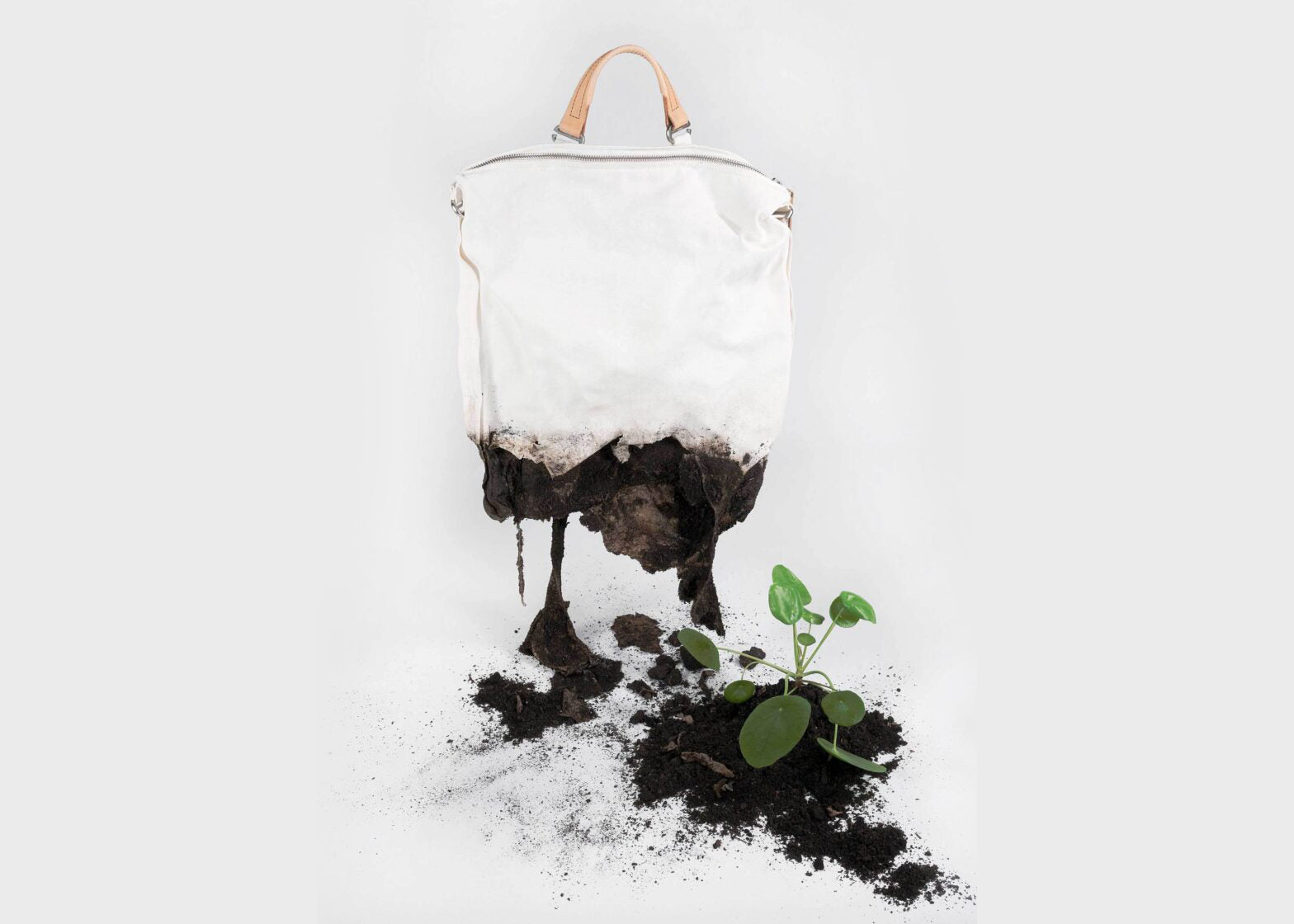 A BLUEPRINT FOR PLANET-POSITIVE DESIGN