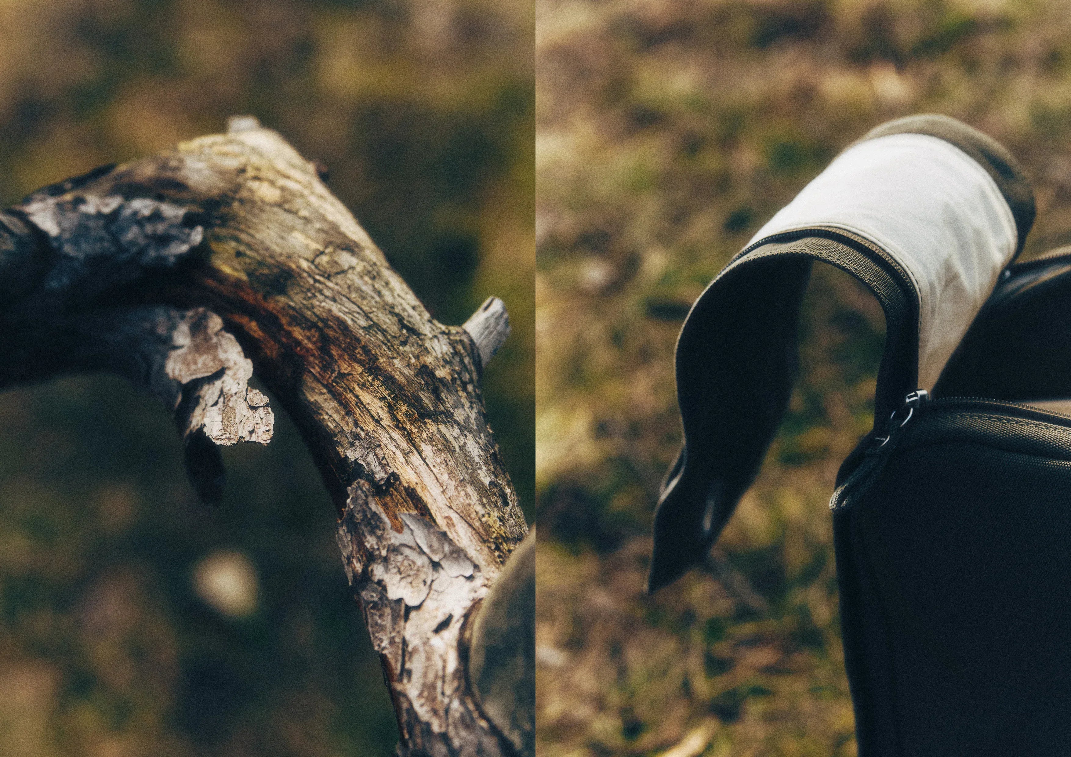 QWSTION_OLIVE_diptych_1 - QWSTION