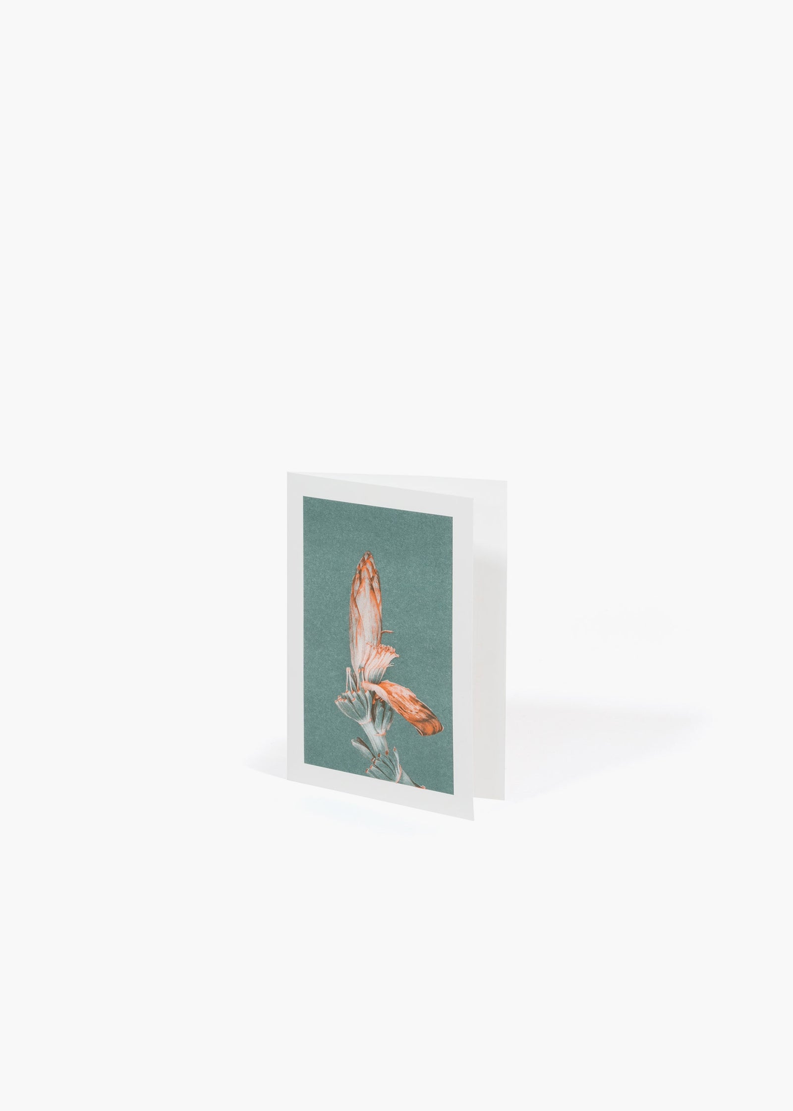 QWSTION + Bienvenue Studios Card Musa Textilis – Blossom - QWSTION