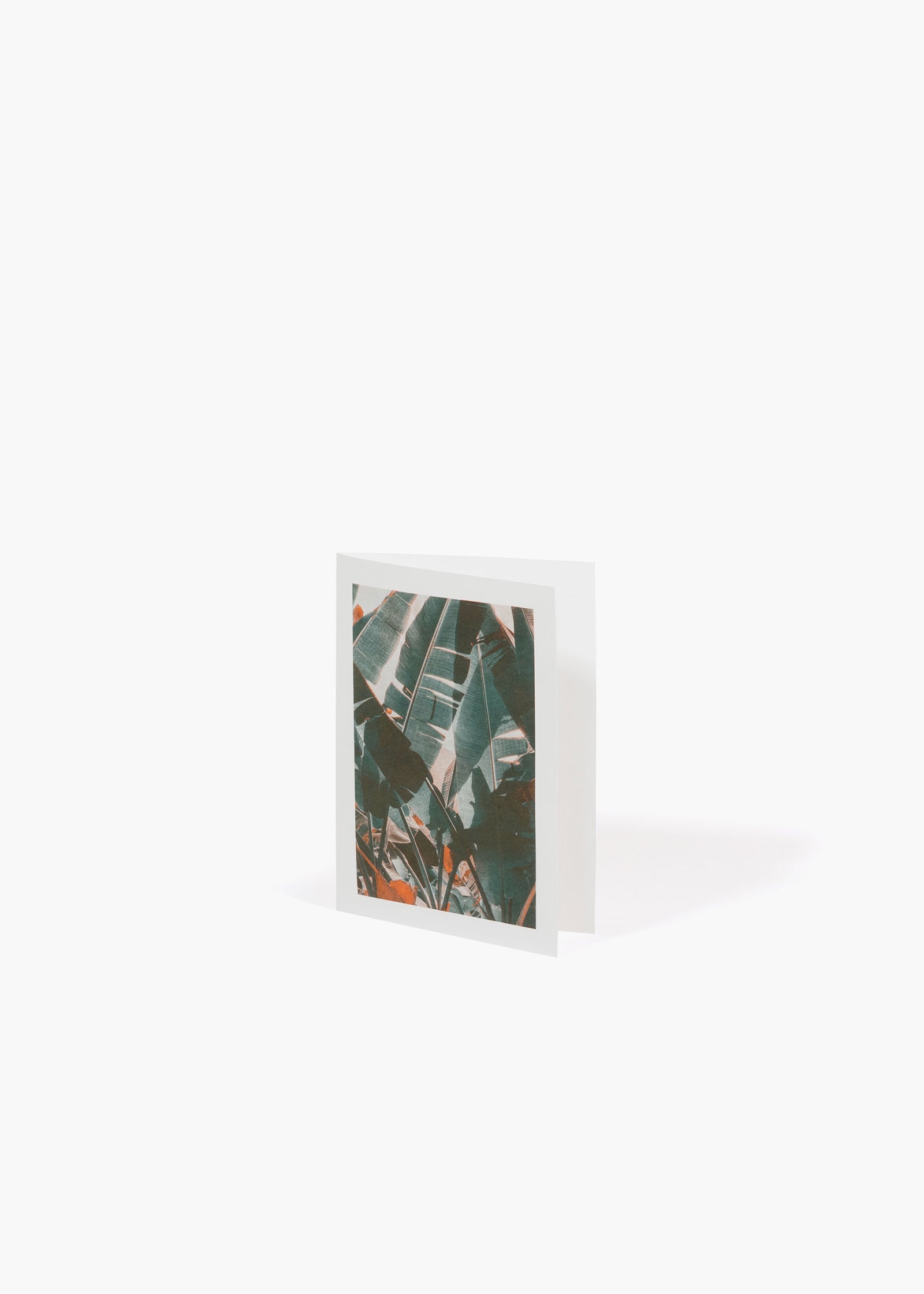 QWSTION + Bienvenue Studios Card Musa Textilis – Leaves - QWSTION