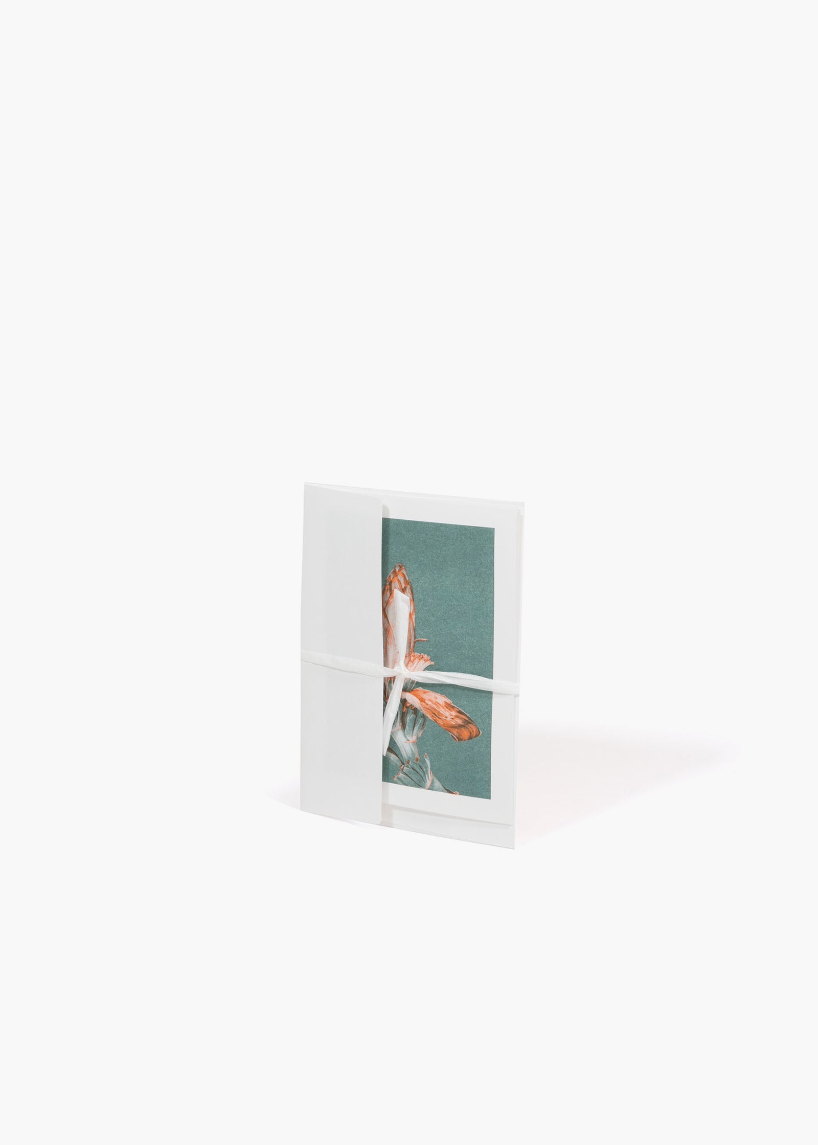 QWSTION + Bienvenue Studios Card Musa Textilis – Blossom - QWSTION
