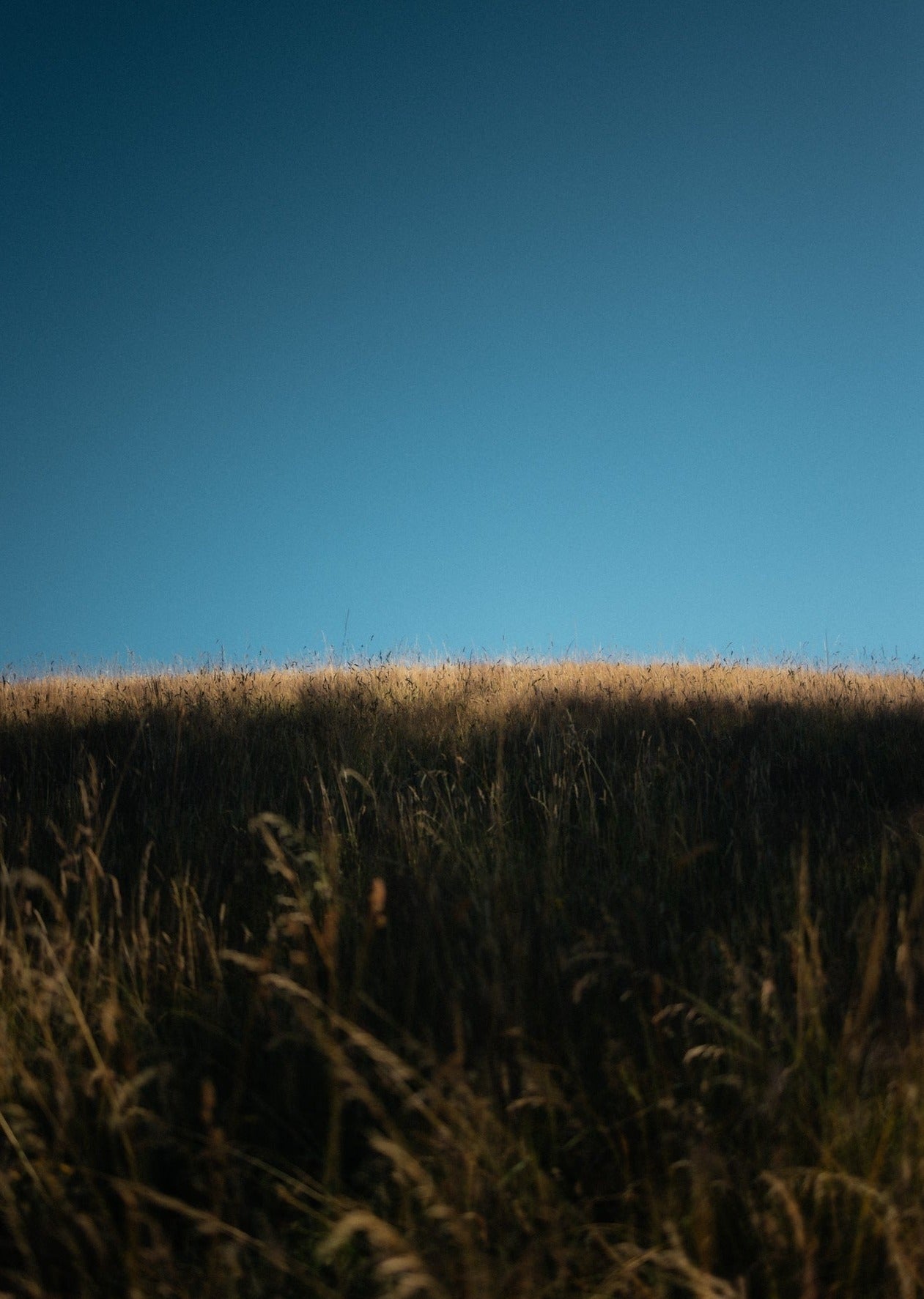 Zip Pouch Small – Raven - QWSTION