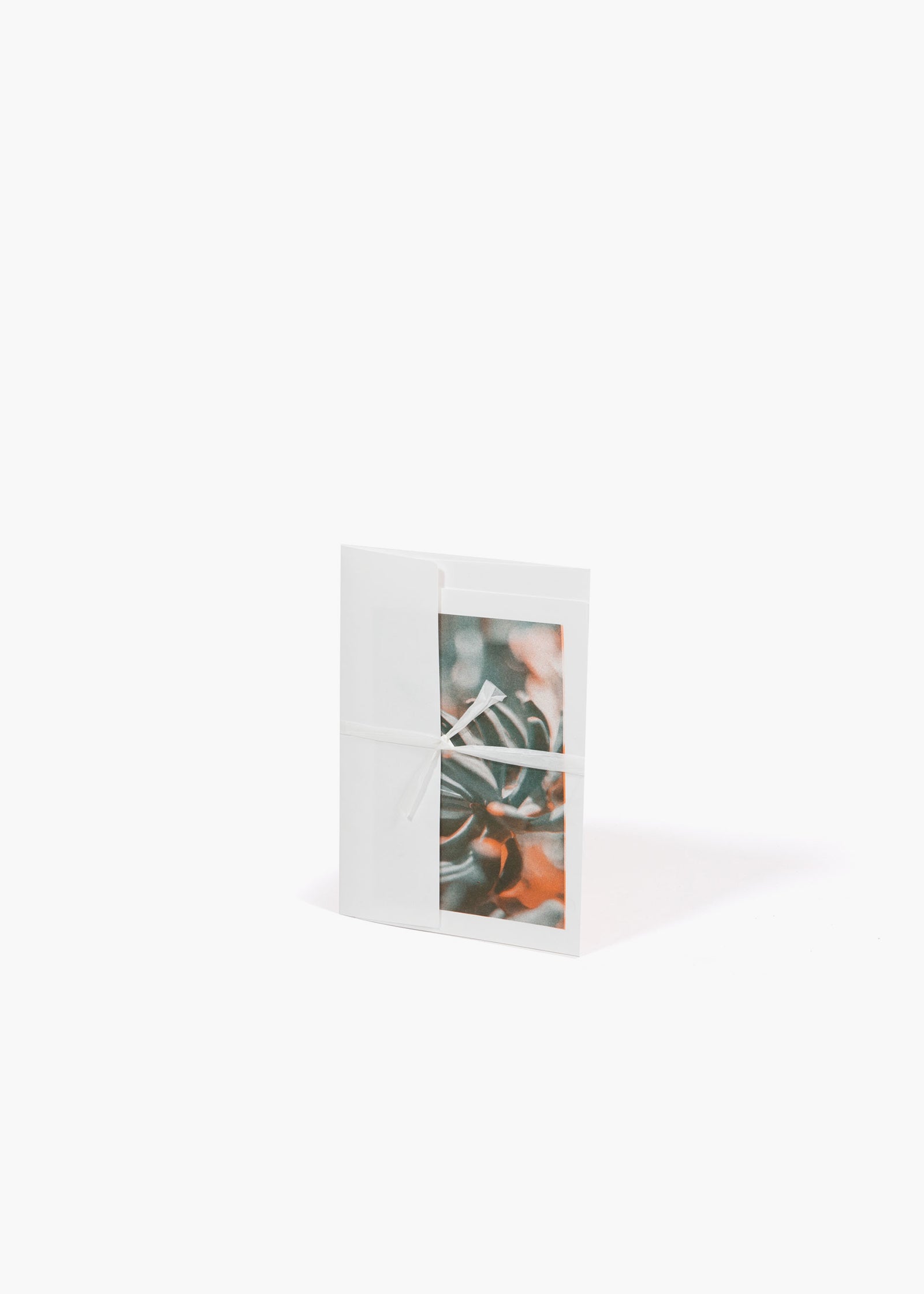 QWSTION + Bienvenue Studios Card Musa Textilis – Fruit - QWSTION