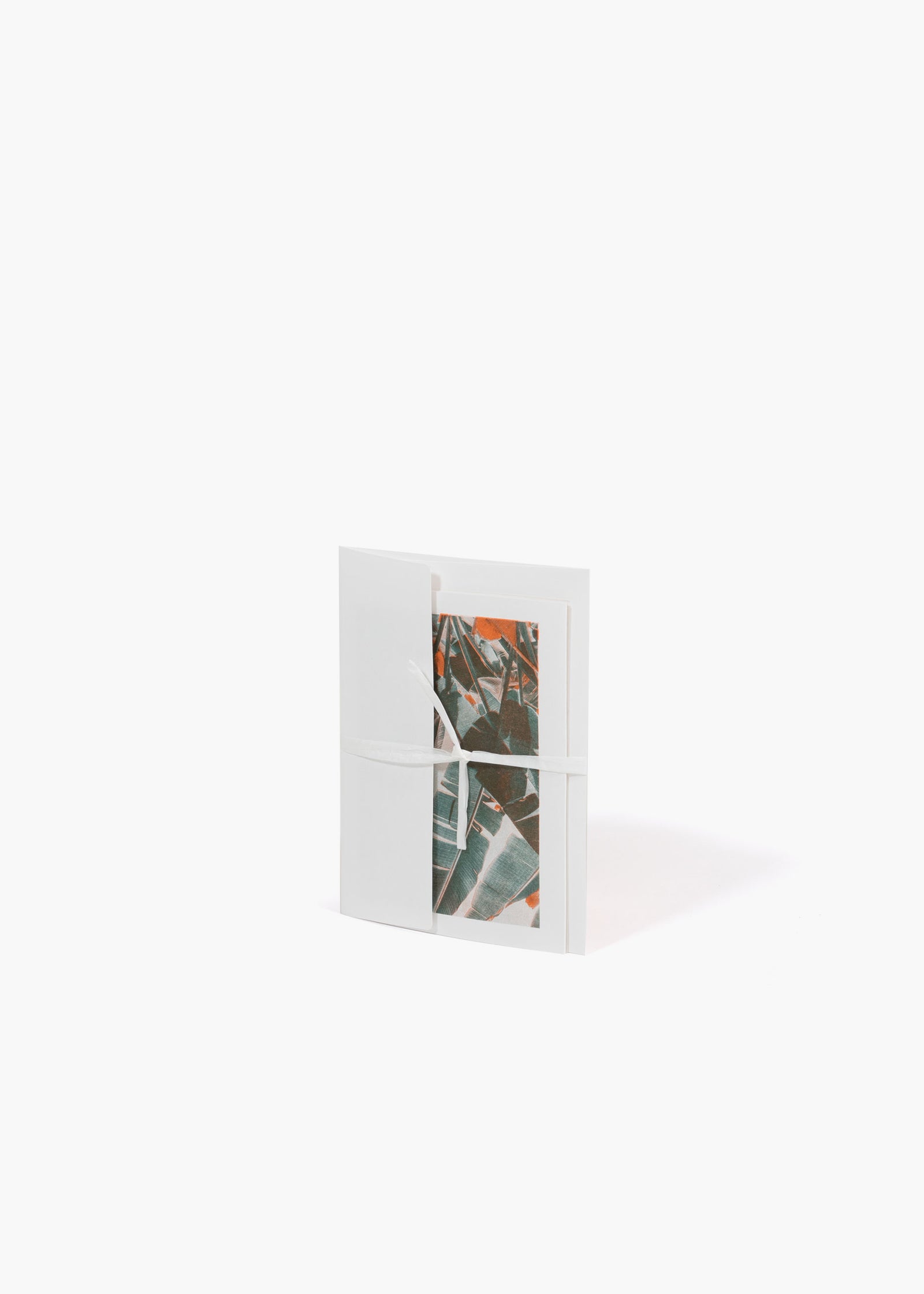 QWSTION + Bienvenue Studios Card Musa Textilis – Leaves - QWSTION